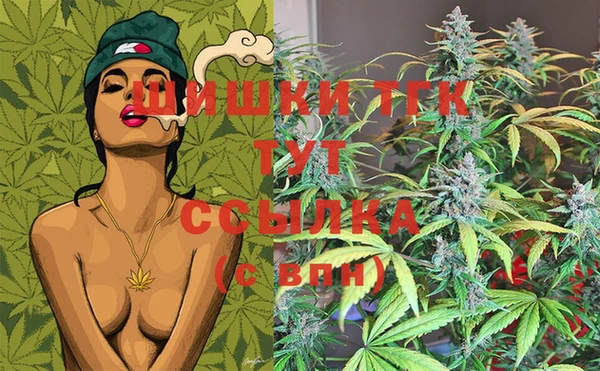 индика Осинники