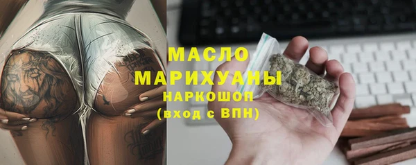 индика Осинники
