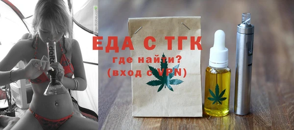 индика Осинники