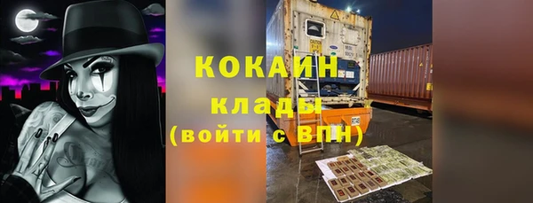 индика Осинники