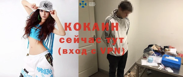 индика Осинники