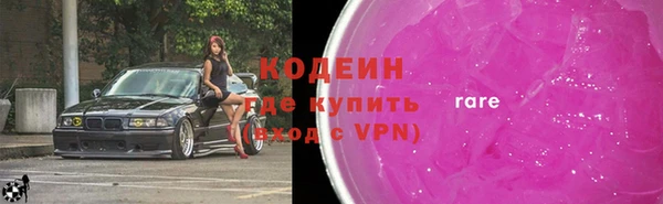индика Осинники