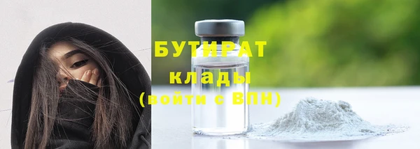 индика Осинники