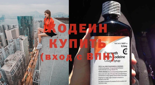 индика Осинники