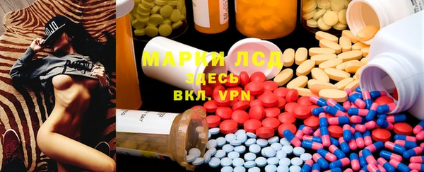 индика Осинники