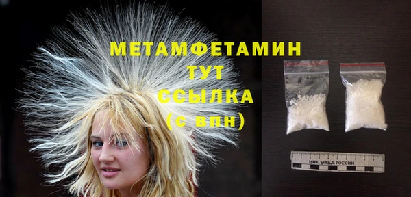 индика Осинники