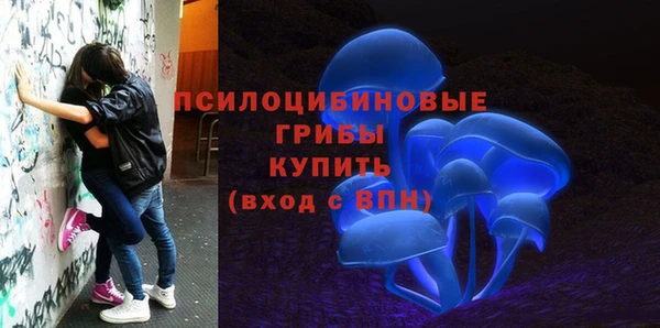 индика Осинники