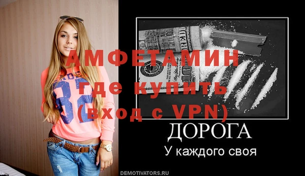 индика Осинники