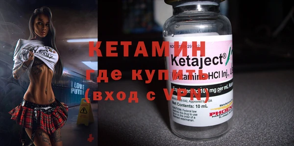 индика Осинники